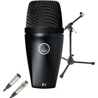 Read more about the article AKG P2 Dynamic Microphone for Bass Instruments With Stand & Cable