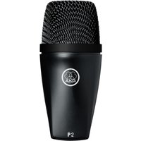 Read more about the article AKG P2 Dynamic Microphone for Bass Instruments