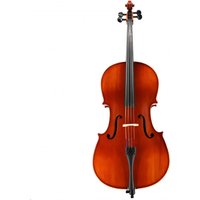 Read more about the article Hidersine Vivente Cello Outfit 1/2 Size – Secondhand