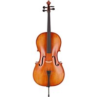 Read more about the article Hidersine Vivente Cello Outfit 1/2 Size