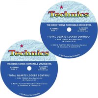 Read more about the article Technics Slipmat Motown