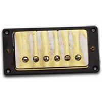 Seymour Duncan Antiquity Neck Humbucker Gold