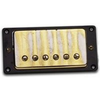 Read more about the article Seymour Duncan Antiquity Bridge Humbucker Gold