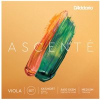 DAddario Ascenté Viola C String XX Short Scale Medium