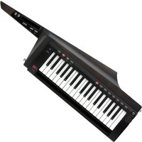 Read more about the article Korg RK100S2 Keytar Black