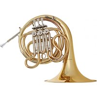 Read more about the article Student Single French Horn by Gear4music