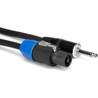 Hosa Pro Speaker Cable REAN Loudspeaker to 1/4 in TS 3 ft