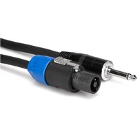 Pro Speaker Cable REAN Loudspeaker to 1/4 in TS 100 ft