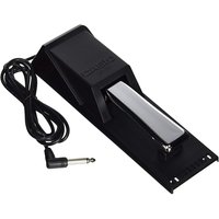 Read more about the article Casio SP-20 Sustain Pedal