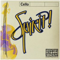 Read more about the article Thomastik Spirit Cello D String 4/4 Size