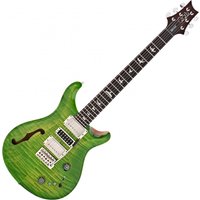 Read more about the article PRS Special Semi Hollow Eriza Verde #0347617