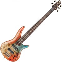 Read more about the article Ibanez SR1605DW Autumn Sunset Sky