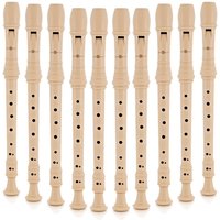 Read more about the article Descant Recorder with Cleaning Rod Pack of 10