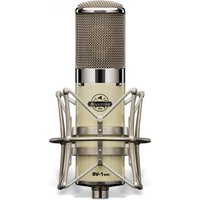 Read more about the article Avantone BV1 Mk II Large Diaphragm Valve Microphone