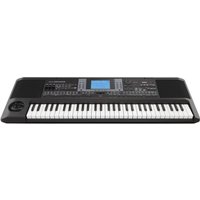 Read more about the article KORG microARRANGER Professional Arranger Keyboard