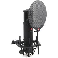 Read more about the article sE Electronics sE2200a II Multi Pattern Condenser Microphone