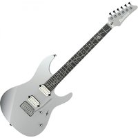 Read more about the article Ibanez TOD10 Tim Henson Signature Classic Silver