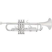 Read more about the article Student Trumpet by Gear4music Silver