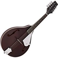 Read more about the article Tanglewood TWM T WR Union Series Teardrop Mandolin Wine Red