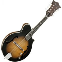 Read more about the article Tanglewood TWMF VSE Union Series Electric Mandolin Vintage Sunburst
