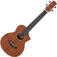 Read more about the article Ibanez UEWT5 Tenor Ukulele Open Pore Natural
