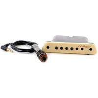 Read more about the article L.R. Baggs M1 Active Magnetic Soundhole Pickup