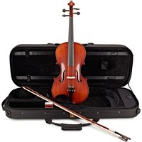 Read more about the article Archer Professional Viola By Gear4music