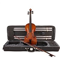 Read more about the article Hidersine Venezia Finetune Violin Outfit Full Size