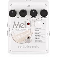 Read more about the article Electro Harmonix MEL9 Tape Replay Machine