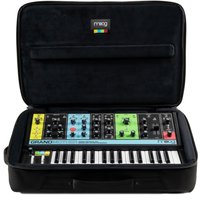 Read more about the article Moog Matriarch with Case