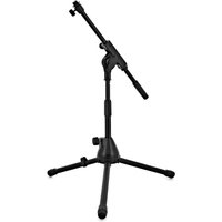 Low Mic Stand with Extending Boom Arm