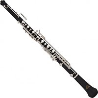 Read more about the article Odyssey OBE1200 Premiere Junior Oboe