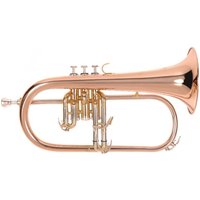 Read more about the article Odyssey OFG1300 Premiere Flugel Horn