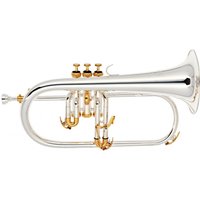 Odyssey OFG1300SG Premiere Flugel Horn Silver and Gold