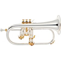 Read more about the article Odyssey OFG1300SG Premiere Flugel Horn Silver and Gold