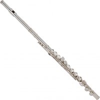 Read more about the article Odyssey OFL300S Premiere Flute