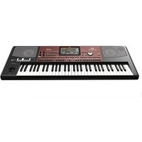 Korg Pa700 Professional Arranger Keyboard Oriental