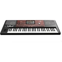 Read more about the article Korg Pa700 Professional Arranger Keyboard Oriental