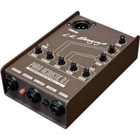 Read more about the article L.R. Baggs Para DI Acoustic Pre-Amp with 5-band EQ