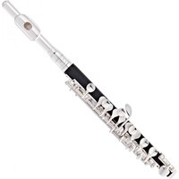 Read more about the article Student Piccolo by Gear4music