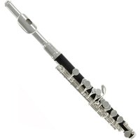 Read more about the article Rosedale Intermediate Piccolo by Gear4music – Nearly New