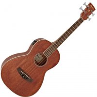 Ibanez PNB14E Electro Acoustic Bass Open Pore Natural