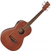 Read more about the article Ibanez PNB14E Electro Acoustic Bass Open Pore Natural