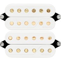 Read more about the article Fishman Fluence Custom Series Scott LePage Pickup Set White