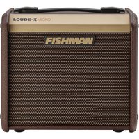 Read more about the article Fishman Loudbox Micro Acoustic Amplifier