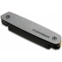 Read more about the article Fishman Neo-D Humbucker Acoustic Guitar Soundhole Pickup