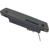 Read more about the article Fishman Rare Earth Humbucking Soundhole Acoustic Pickup