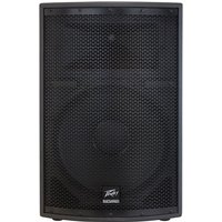 Read more about the article Peavey SP Series SP2 Speaker Enclosure