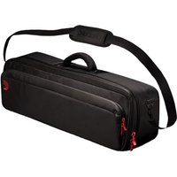 Read more about the article DAddario XPND Transporter Bag 1