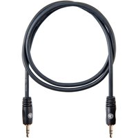 Planet Waves 1/8 Inch to 1/8 Inch Stereo Cable 3 feet